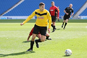 Brighton & Hove Albion: Playing on Pitch (April 28, 2015, 2:00 PM)