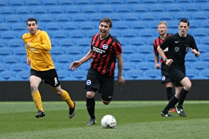 Brighton & Hove Albion: Playing on Pitch (April 29, 2015, 5:00 PM)