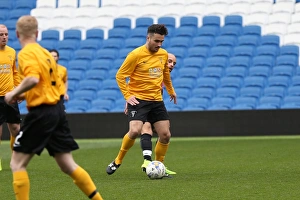 Brighton & Hove Albion: Playing on Pitch (April 29, 2015, 5:00 PM)