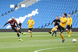 Brighton & Hove Albion: Playing on Pitch (April 29, 2015, 5:00 PM)