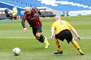 Brighton & Hove Albion: Playing on Pitch (April 29, 2015, 5:00 PM)