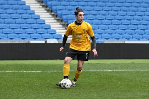 Brighton & Hove Albion: Playing on Pitch (April 29, 2015, 5:00 PM)