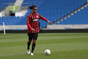 Brighton & Hove Albion: Playing on Pitch (April 29, 2015, 5:00 PM)