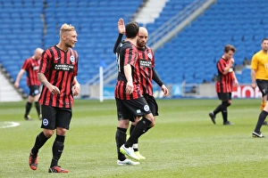 Brighton & Hove Albion: Playing on Pitch (April 29, 2015, 5:00 PM)