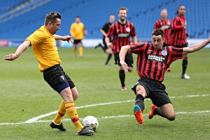 Brighton & Hove Albion: Playing on Pitch (April 29, 2015, 5:00 PM)