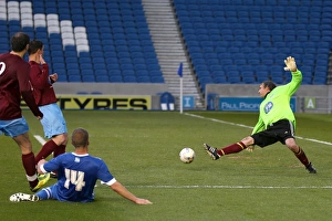 Prints of Brighton And Hove Albion Play on Pitch APR15: 06 Play on Pitch 29APR15 EVE Play On Pitch 2015 Prints: Brighton & Hove Albion: Playing on the Pitch (April 29, 2015)