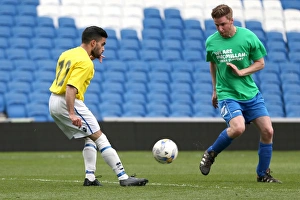 07 Play On Pitch 30APR15 PM Prints: Brighton & Hove Albion: Playing on Pitch (April 30, 2015, 7:00 PM)