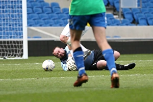 Brighton & Hove Albion: Playing on Pitch (April 30, 2015, 7:00 PM)