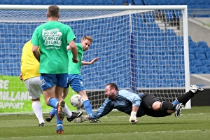 Brighton & Hove Albion: Playing on Pitch (April 30, 2015, 7:00 PM)