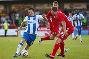 Images Dated 24th July 2013: Brighton & Hove Albion Pre-Season 2013-14: Clash Against Crawley Town (July 24)