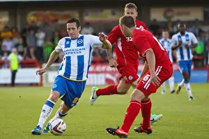 Crawley Town - 24-07-2013 Prints: Brighton & Hove Albion Pre-Season 2013-14: Clash Against Crawley Town (July 24)