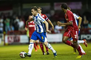 Crawley Town - 24-07-2013 Prints: Brighton & Hove Albion Pre-Season 2013-14: Clash Against Crawley Town (July 24)
