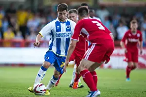 Crawley Town - 24-07-2013 Prints: Brighton & Hove Albion Pre-Season 2013-14: Clash Against Crawley Town (July 24)