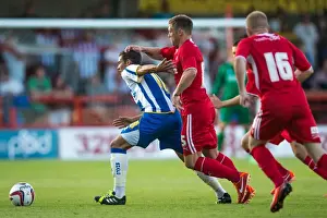 Crawley Town - 24-07-2013 Prints: Brighton & Hove Albion Pre-Season 2013-14: Clash Against Crawley Town (July 24)