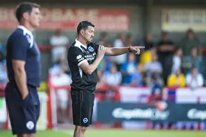 Crawley Town - 24-07-2013 Prints: Brighton & Hove Albion Pre-Season 2013-14: Clash with Crawley Town (July 24)
