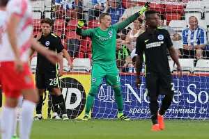Pre-Season Prints: Brighton and Hove Albion Pre-Season: The Lamex Stadium Showdown vs. Stevenage (23JUL16)