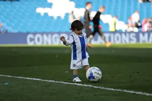 Brighton & Hove Albion: Premier League Survival Celebrated with Emotional Lap of Appreciation (12 May 2019)