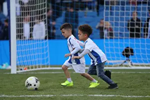 Prints of Lap of appreciation during the Premier League match between Brighton and Hove Albion and Manchester City at the American Express Community Stadium, Falmer, Brighton on the 12th May 2019 2018-19 Matches Prints: Brighton & Hove Albion: Premier League Survival Celebration - Players Lap of Appreciation (May 2019)