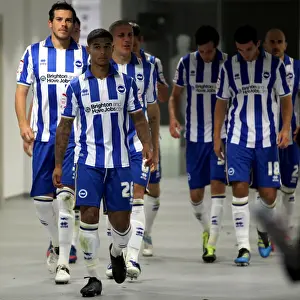 Brighton & Hove Albion: Reliving the Excitement of the 2012-13 Season - Home Game vs. Sheffield Wednesday (September 14, 2012)
