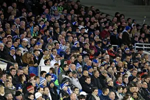 Bristol City - 27-11-2012 Prints: Brighton & Hove Albion: Reliving the Excitement of the 2012-13 Season - Home Game vs