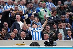 Images Dated 20th October 2012: Brighton & Hove Albion: Reliving the Excitement of the 2012-13 Season - Home Game vs