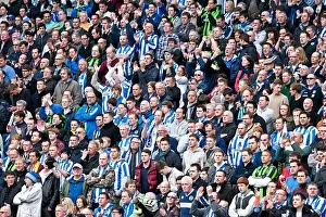 Birmingham City - 21-04-2012 Prints: Brighton & Hove Albion: Revisiting the Excitement of the 2011-12 Home Game Against Birmingham City (21-04-2012)