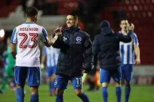 Celebrate Prints: Brighton and Hove Albion Take on Rotherham United in EFL Sky Bet Championship Clash (07MAR17)