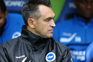 Reading - 15-09-2013 Prints: Brighton And Hove Albion Season 2013-14: 2013-14 Away Games: Reading - 15-09-2013