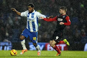 Huddersfield Town - 21-12-2013 Prints: Brighton And Hove Albion Season 2013-14: 2013-14 Home Games: Huddersfield Town - 21-12-2013