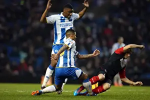 Huddersfield Town - 21-12-2013 Prints: Brighton And Hove Albion Season 2013-14: 2013-14 Home Games: Huddersfield Town - 21-12-2013