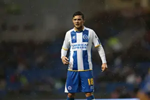 Reading (FAC) - 04-01-2014 Prints: Brighton And Hove Albion Season 2013-14: 2013-14 Home Games: Reading (FAC) - 04-01-2014