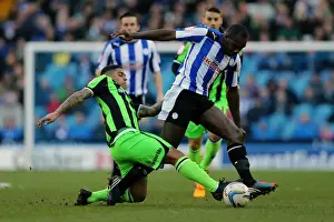 Sheffield Wednesday - 02-02-2013 Prints: Brighton & Hove Albion at Sheffield Wednesday: 2012-13 Away Game