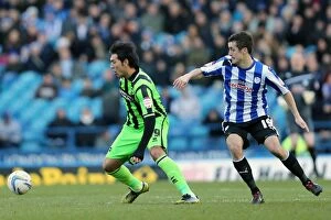 Images Dated 2nd February 2013: Brighton & Hove Albion at Sheffield Wednesday: 2012-13 Season Away Game