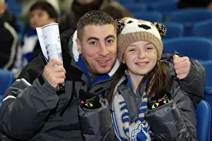 Brighton and Hove Albion: Thrilling Crowd Moments at The Amex Stadium (2012-2013)