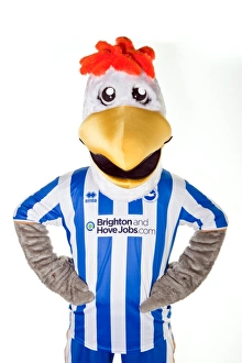 The Brighton and Hove Albion Trio: Gully, Sammy, and Sally