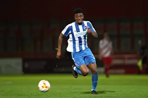 Efl Trophy Prints: Brighton & Hove Albion U23s Ready for EFL Trophy Showdown against Stevenage (4th October 2016)