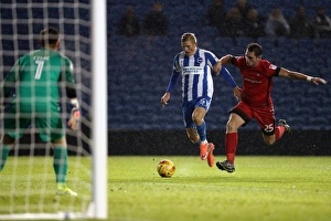 Brighton & Hove Albion U23s vs Leyton Orient: Checkatrade EFL Trophy Clash at American Express Community Stadium (November 8, 2016)