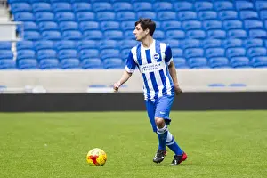 Brighton & Hove Albion: The Unforgettable 12 Staff Match, May 25, 2015