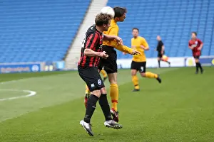 Brighton & Hove Albion: The Unforgettable Moment of Playing on Pitch (April 29, 2015, 5:00 PM)