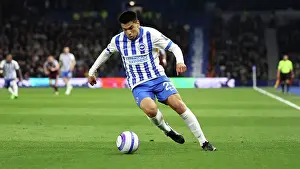 Brighton and Hove Albion v Aston Villa Premier League 02APR25