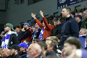 Brighton and Hove Albion v Aston Villa Premier League 02APR25