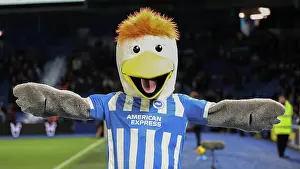Aston Villa 03DEC25 Prints: Brighton and Hove Albion v Aston Villa
Premier League
03DEC25