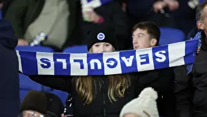 Aston Villa 03DEC25 Prints: Brighton and Hove Albion v Aston Villa
Premier League
03DEC25