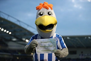 Matches Collection: Birmingham City 04APR17