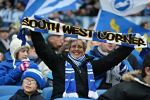 Brighton and Hove Albion v Birmingham City Sky Bet Championship 28 / 11 / 2015