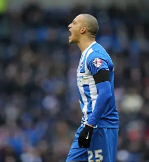 Shouting Prints: Brighton and Hove Albion v Bolton Wanderers Sky Bet Championship 13 / 02 / 2016