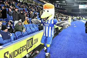 Brighton and Hove Albion v Bournemouth<br> Premier League<br> 19JAN26