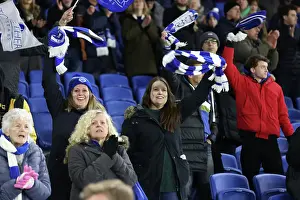 Bournemouth 25FEB25 Prints: Brighton and Hove Albion v Bournemouth Premier League 25FEB25