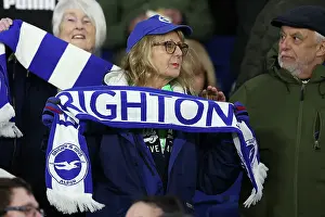 Brighton and Hove Albion v Bournemouth Premier League 25FEB25