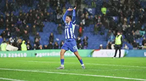 Brighton and Hove Albion v Brentford<br> Premier League<br> 22NOV25